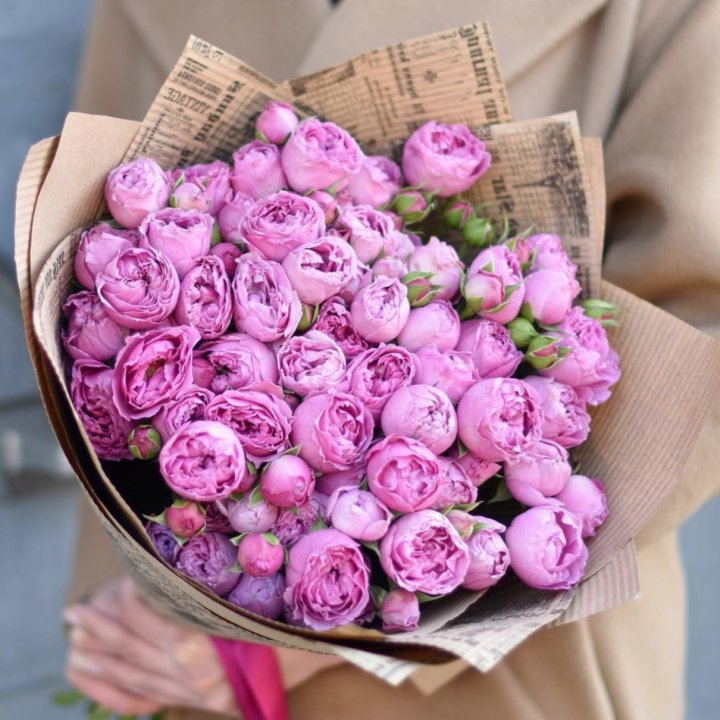 Роза Мисти Баблс в Новосибирске