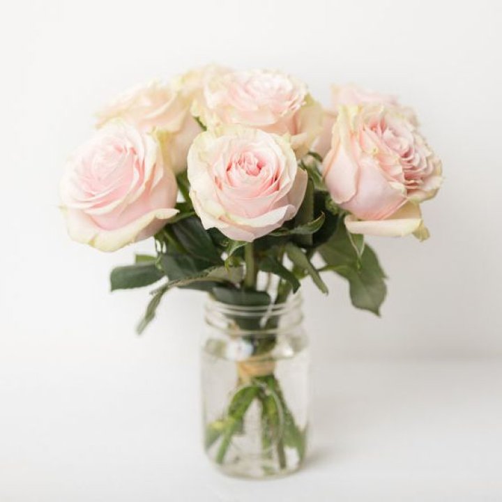 7 кремовых роз в Новосибирске