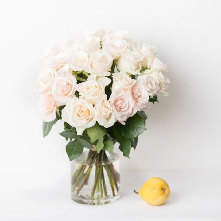 25 кремовых роз в Новосибирске