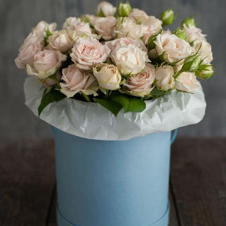 Бокс с бомбастиком в Новосибирске