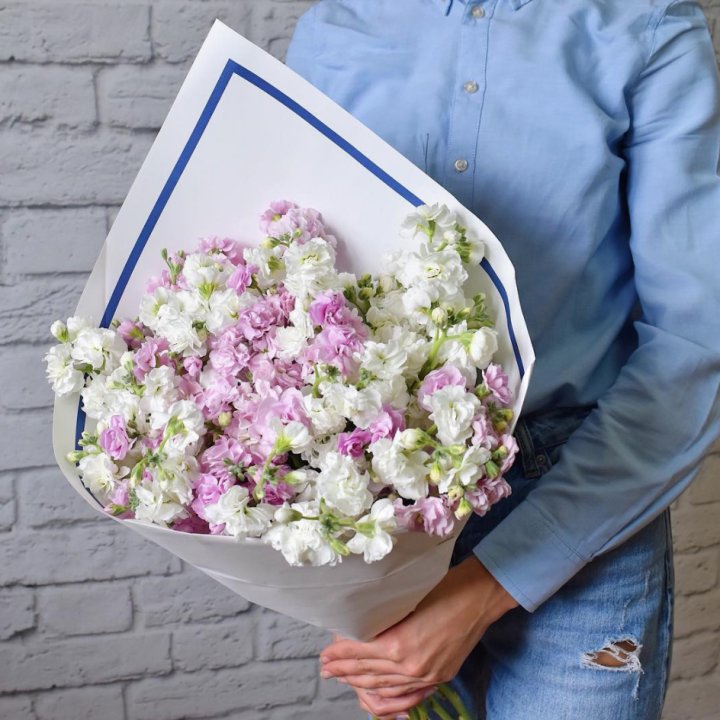 Маттиола в Новосибирске