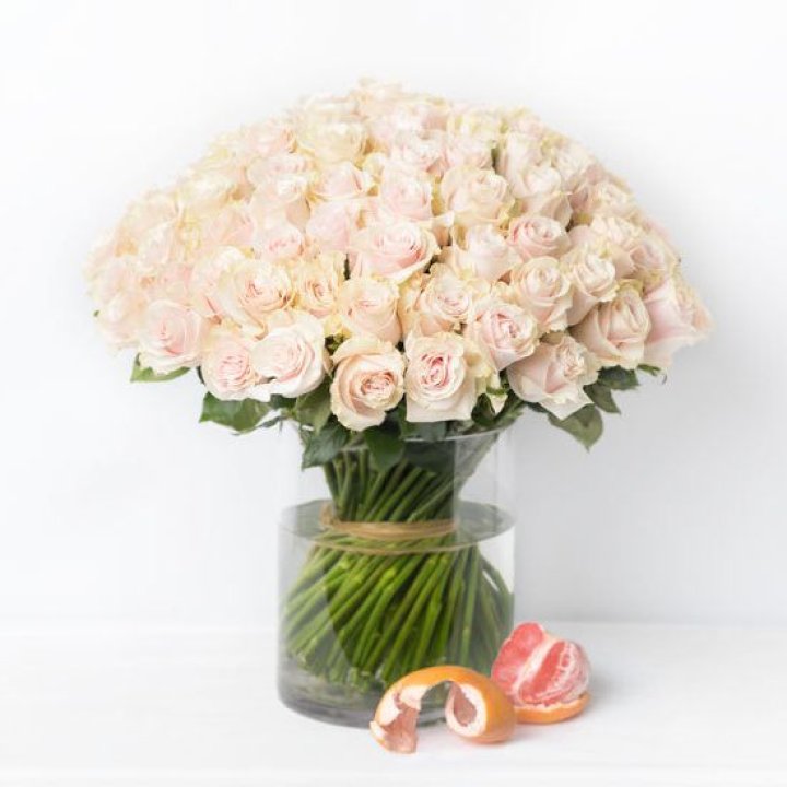 101 кремовая роза в Новосибирске