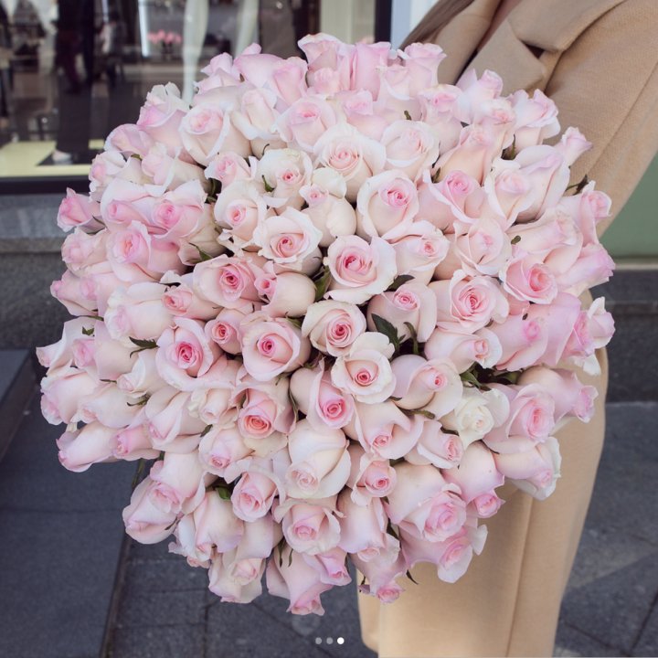 Розы "Пинк бум" в Новосибирске