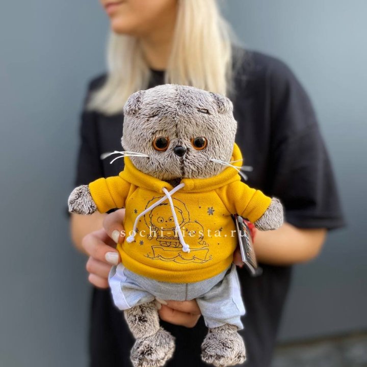 Кот Басик в худи в Новосибирске