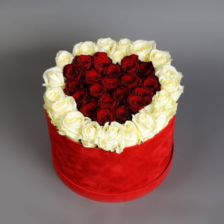 39 красных и белых роз в цилиндре в Новосибирске