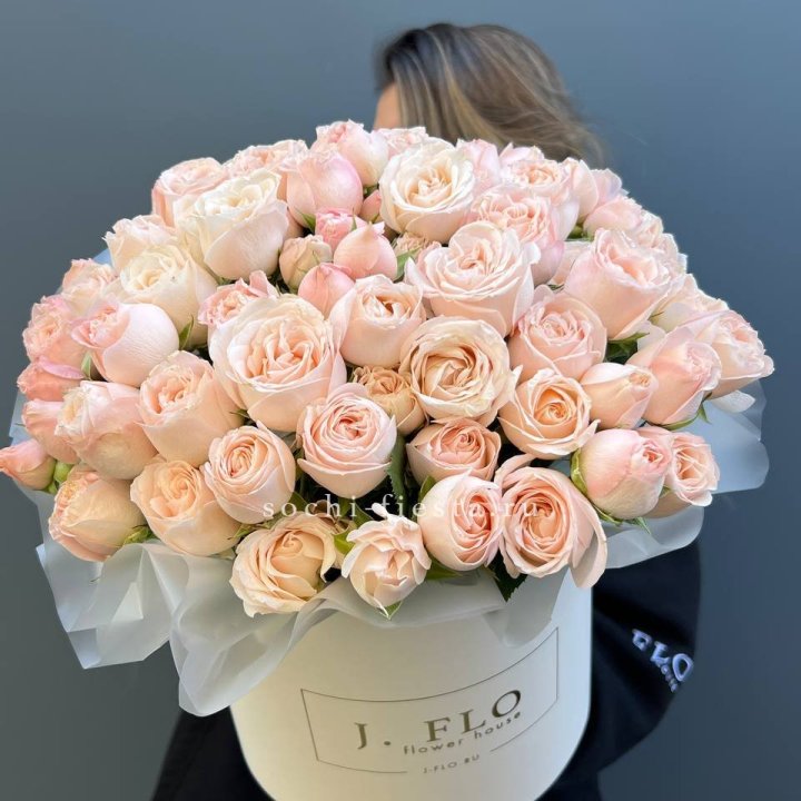 Бомбастик бокс Премьер в Новосибирске