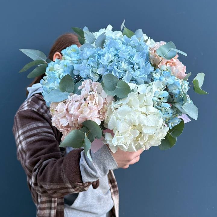 Гортензии в коробочке в Новосибирске