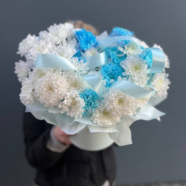 Хризнтемы в боксе в Новосибирске