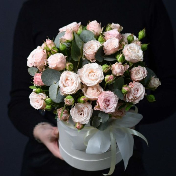 Бомбастик бокс №2 в Новосибирске