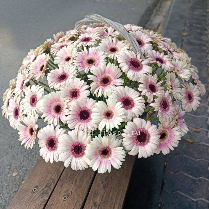 Корзина с герберами  в Новосибирске