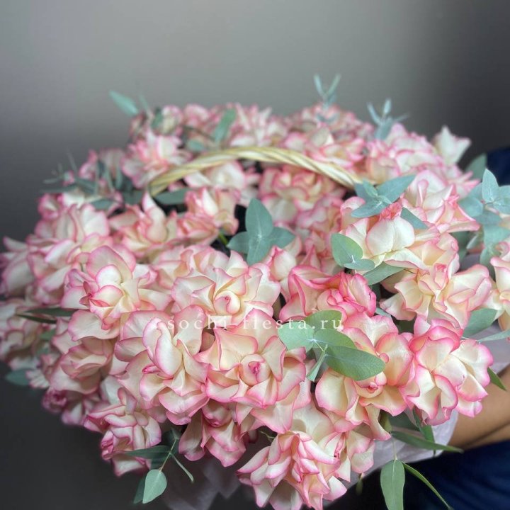 51 джумилия  в корзине   в Новосибирске