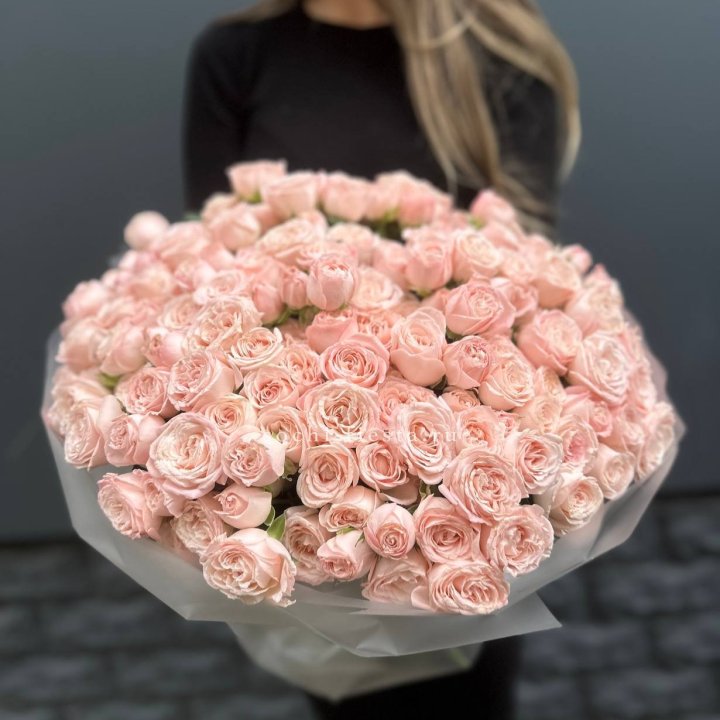 51 кустовая роза Бомбастик в Новосибирске