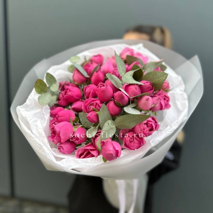 17 Мисти бабблс в Новосибирске