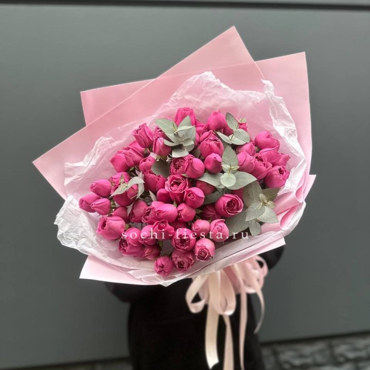 25 Мисти бабблс в Новосибирске