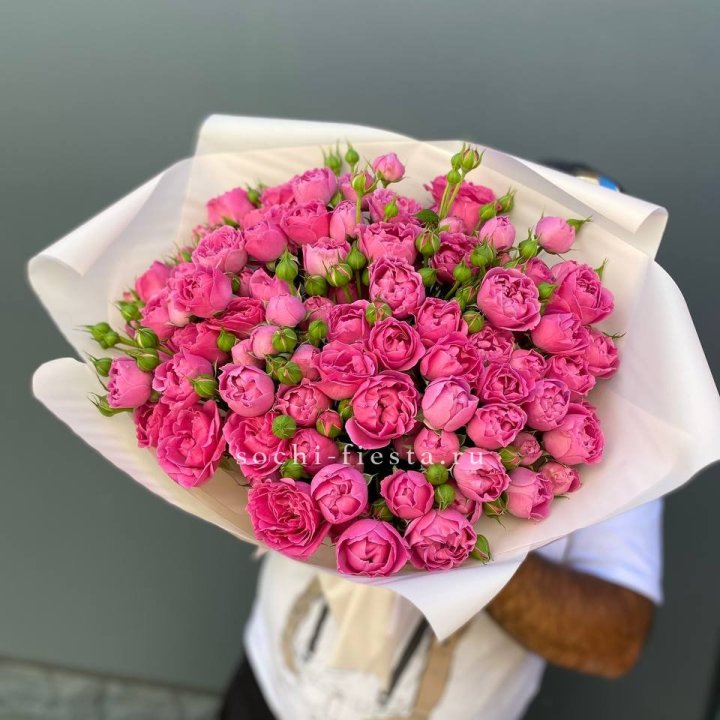 Мисти Баблс 35шт в Новосибирске