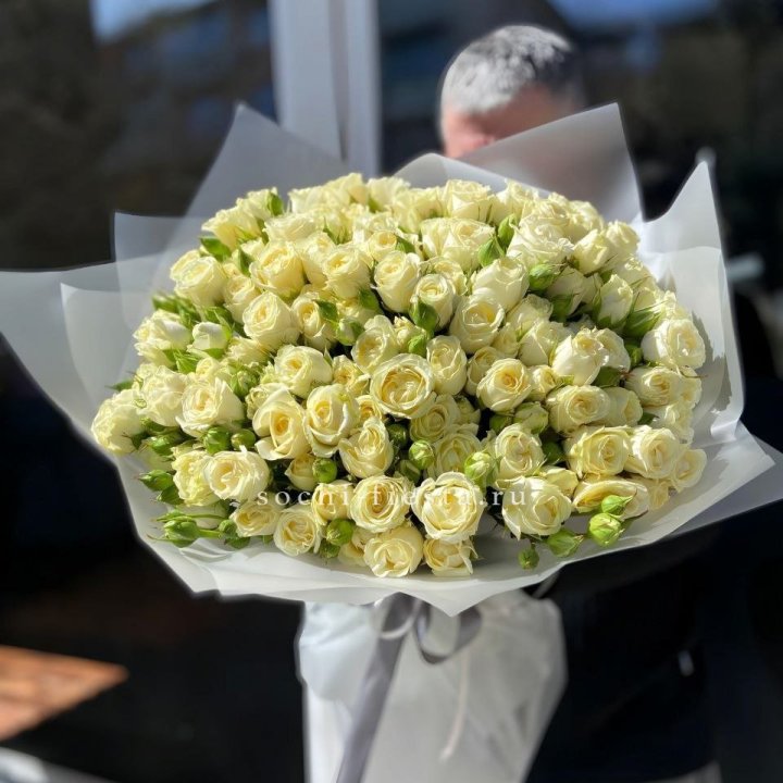 Белые кустовые розы 31 шт в Новосибирске
