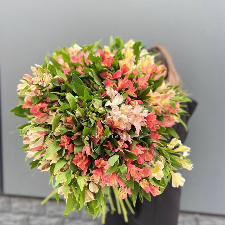 51 альстромерия в Новосибирске