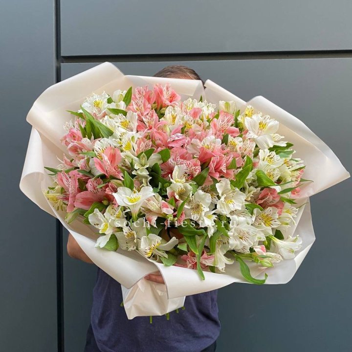 39 альстромерий в Новосибирске