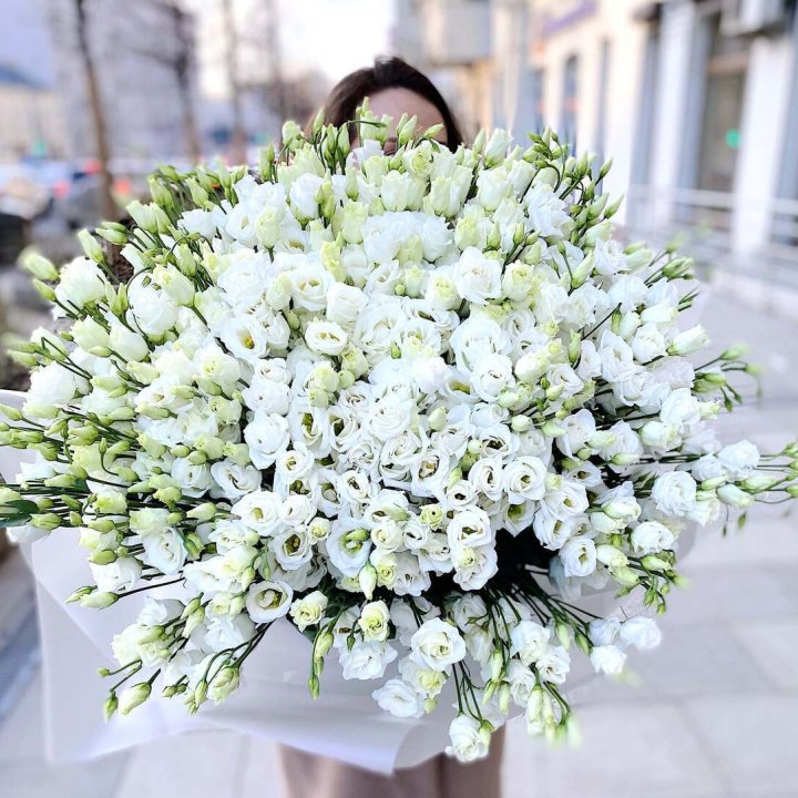 101 белая эустома в Новосибирске