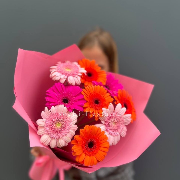 Краски в Новосибирске