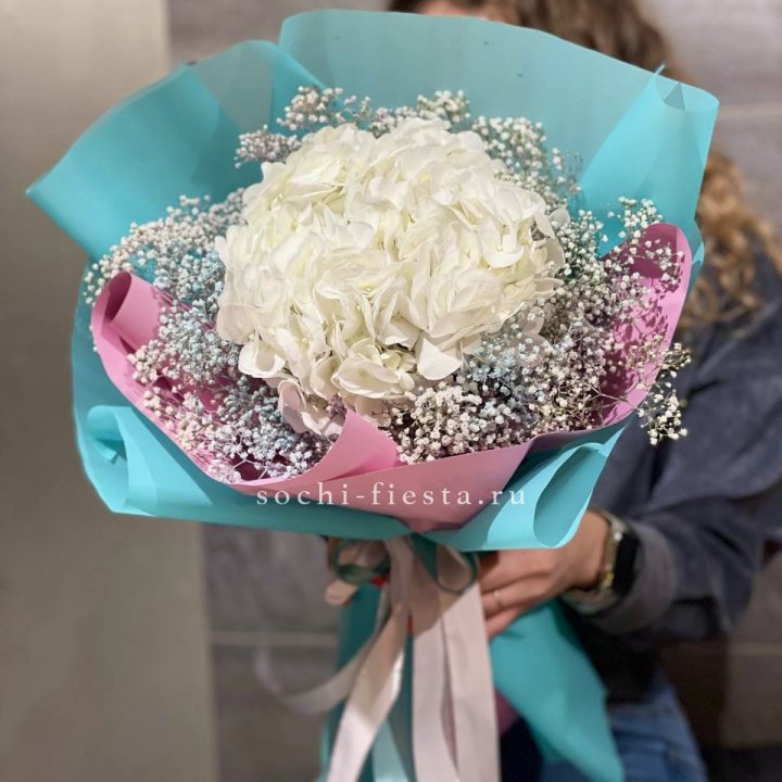 Гортензия "Райдов" в Новосибирске