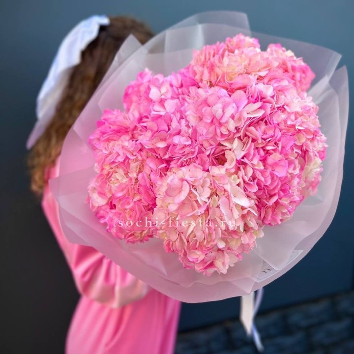 7 ярко розовых гортензий в Новосибирске