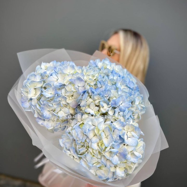 Букет из 3 голубых гортензий  в Новосибирске