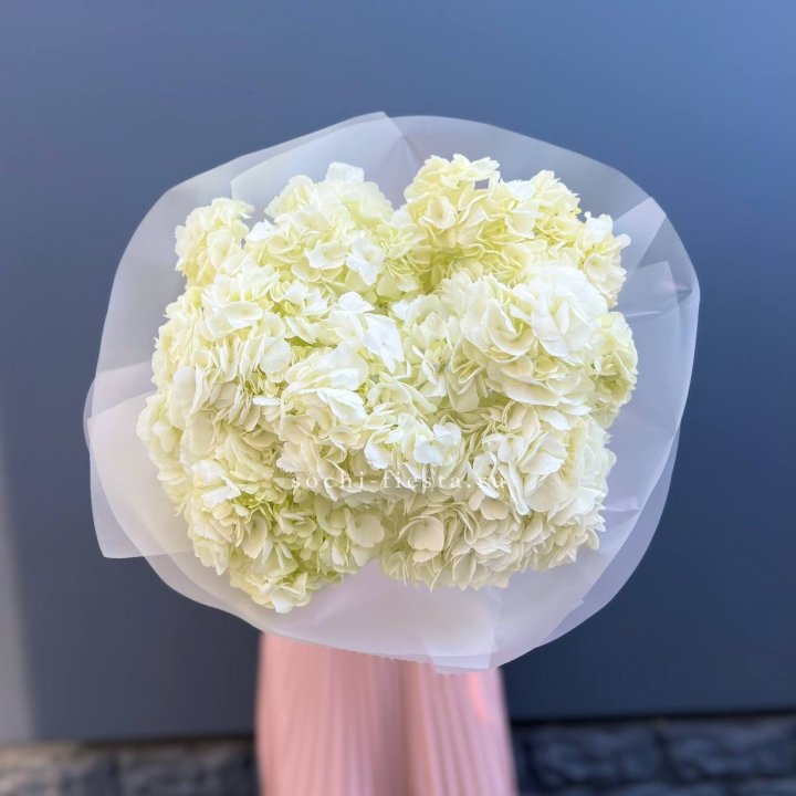 7 белых гортензий в Новосибирске