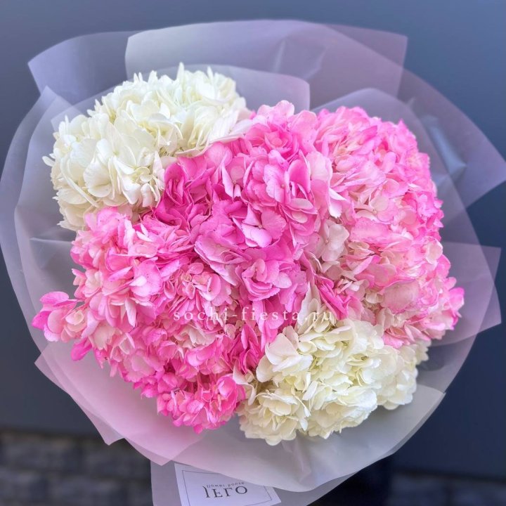 5 бело-розовых гортензий в Новосибирске