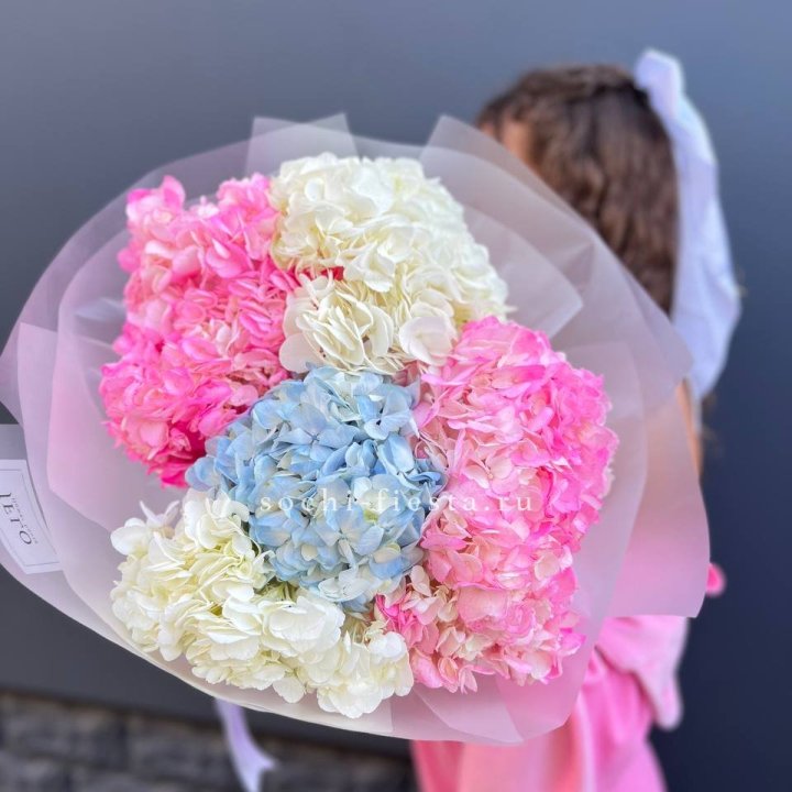 7 гортензий микс в Новосибирске
