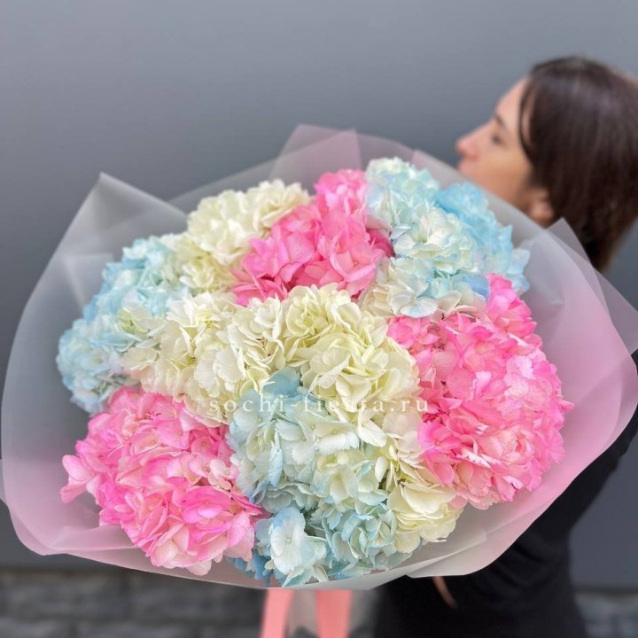 9 гортензий микс в Новосибирске