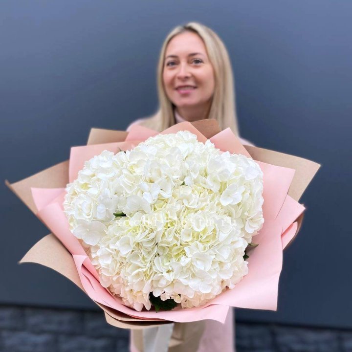 Гортензия белая в Новосибирске