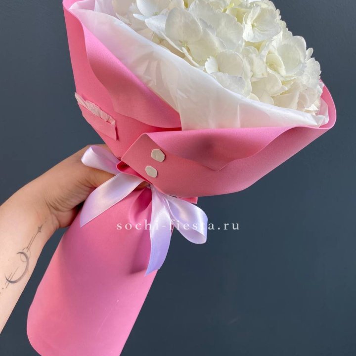 Гортензия в розовом пиджаке в Новосибирске