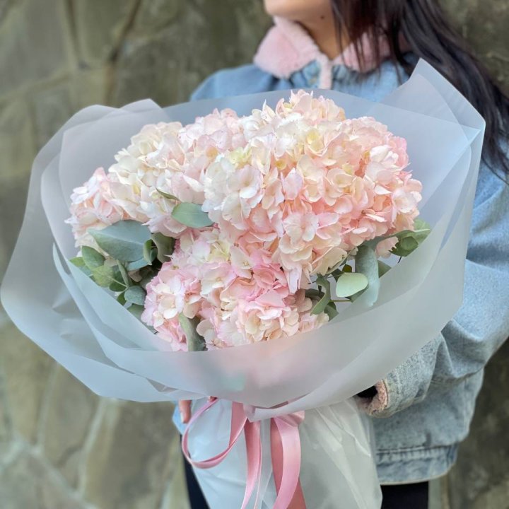 5 розовых гортензий в Новосибирске