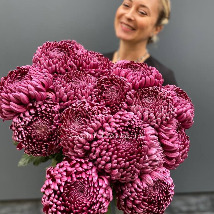 Охапка хризантем Бигуди в Новосибирске