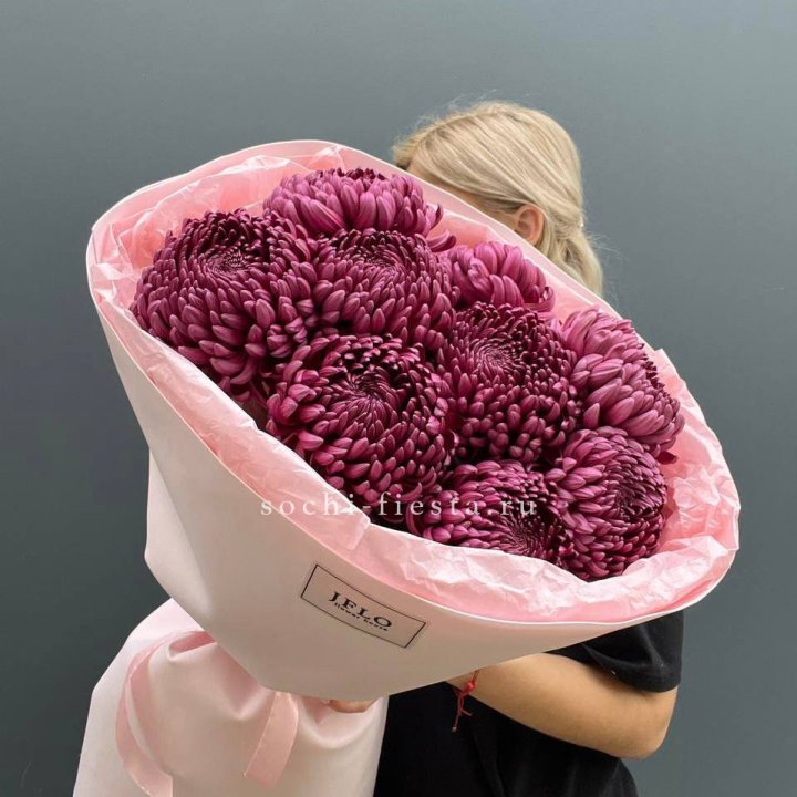 9 хризантем бигуди в Новосибирске