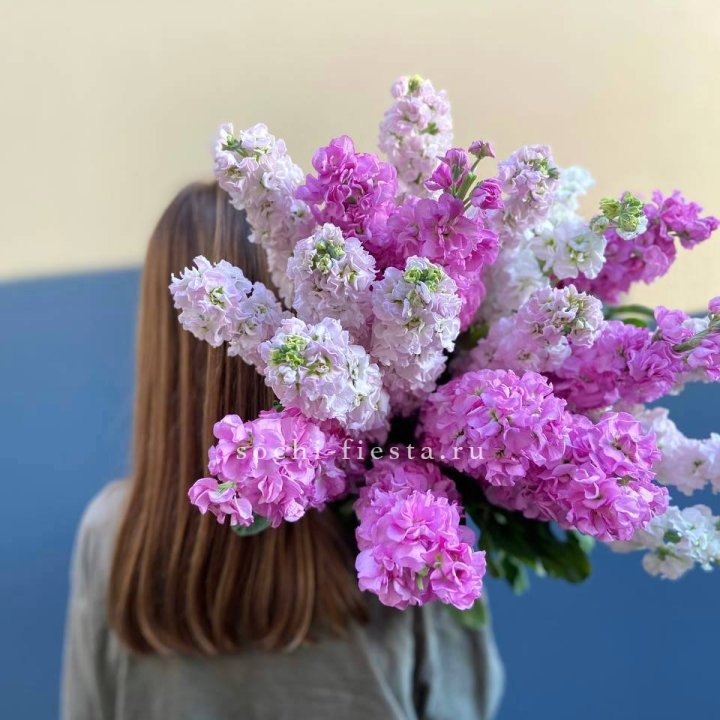 Охапка маттиолы в Новосибирске