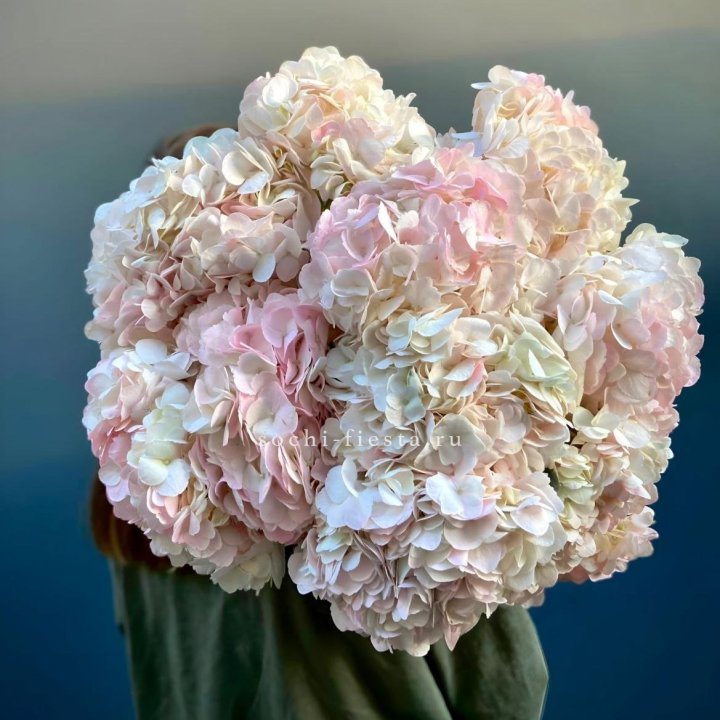 Охапка розовой гортензии в Новосибирске