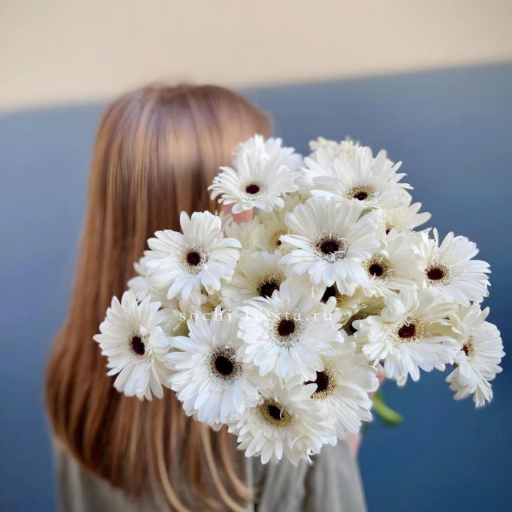 Охапка гербер в Новосибирске