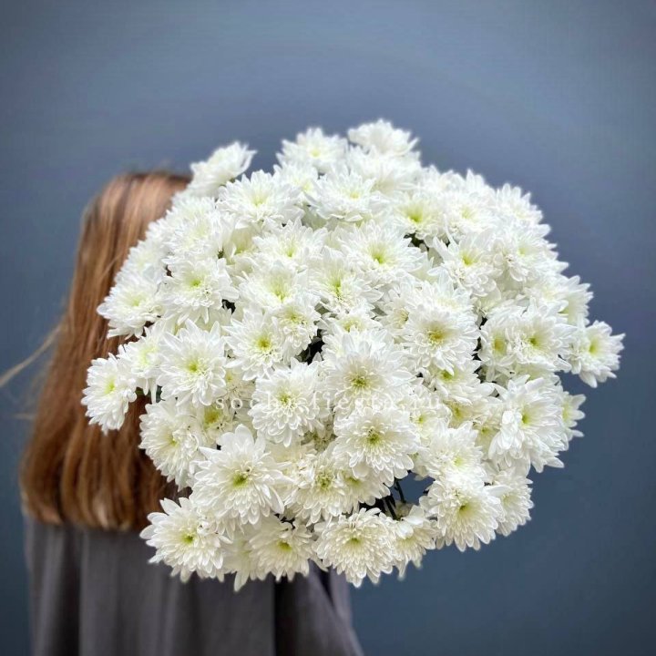 Охапка Хризантемы кустовой в Новосибирске