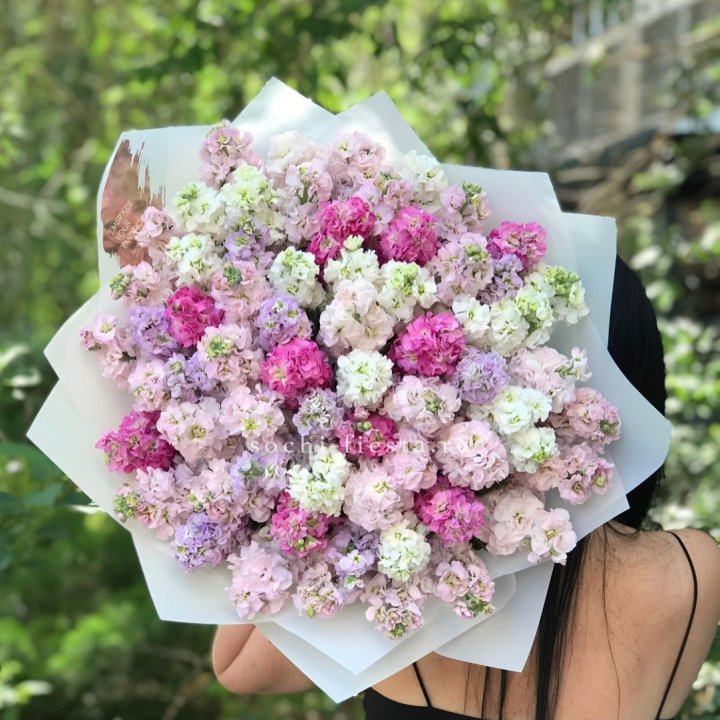 Букет ароматной маттиоллы №3 в Новосибирске