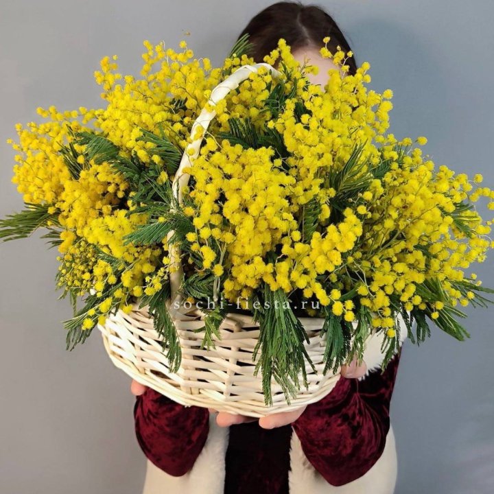 Корзина ароматной мимозы в Новосибирске