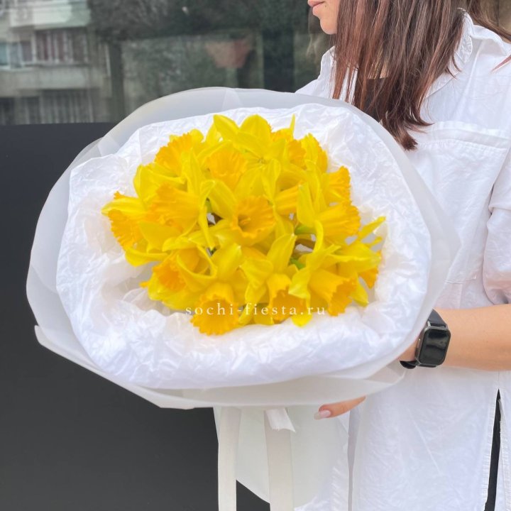 Нарциссы 25 шт в Новосибирске