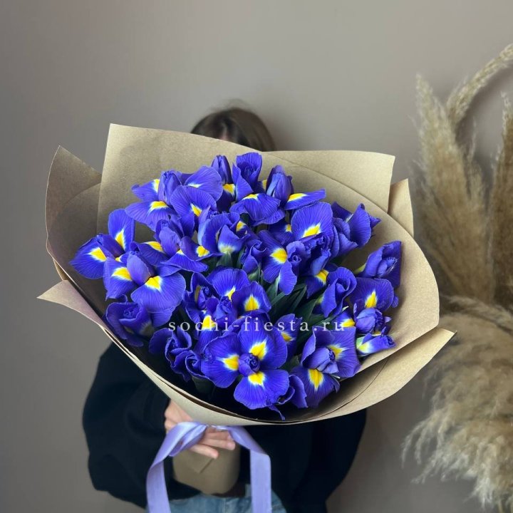 Ирисы в Новосибирске