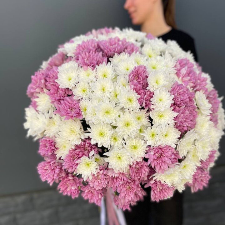  Букет 25 хризантем микс в Новосибирске