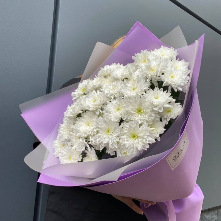  7 хризантем  в Новосибирске