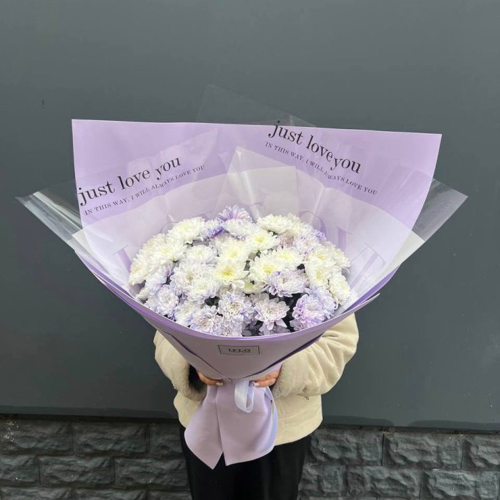 9 воздушных хризантем в Новосибирске