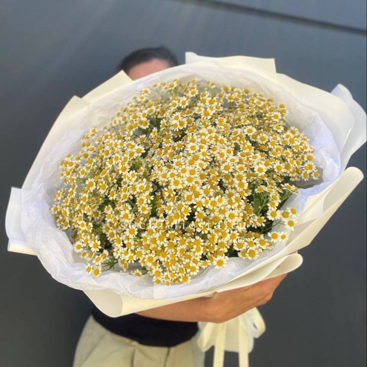 Букет ромашек №2 в Новосибирске
