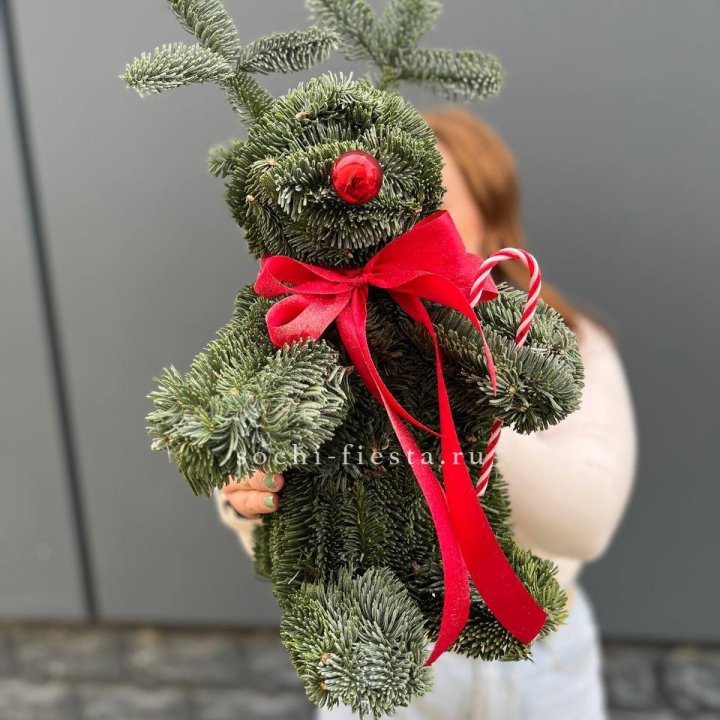 "Олень" из нобилиса в Новосибирске