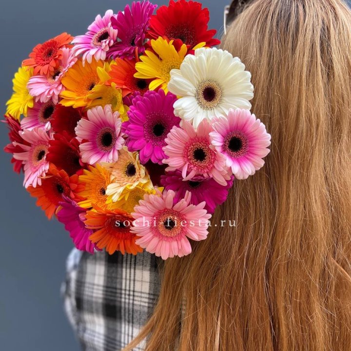 Охапка гербер  в Новосибирске